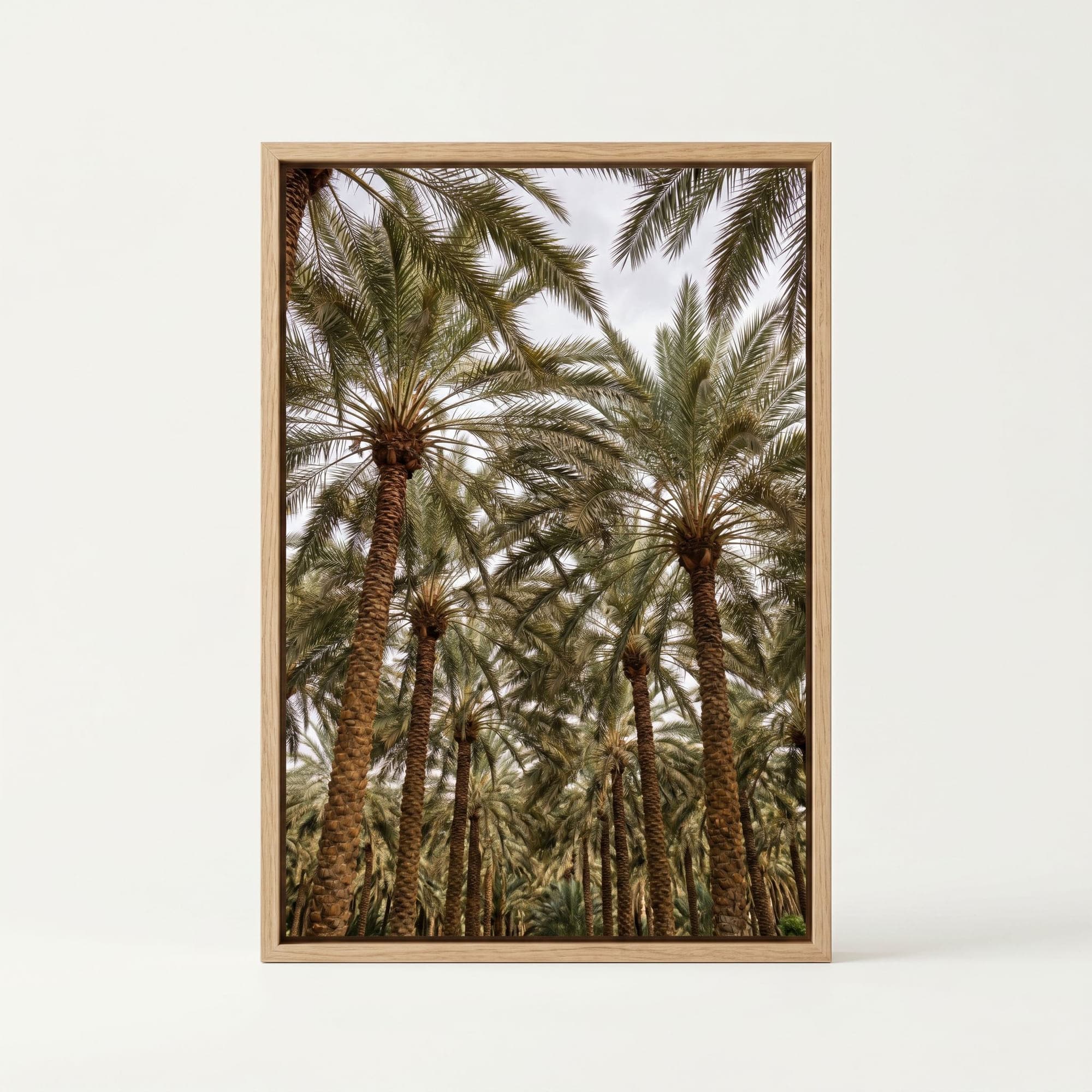 צל וחסר, תמונת קיר מודפסת של Shade